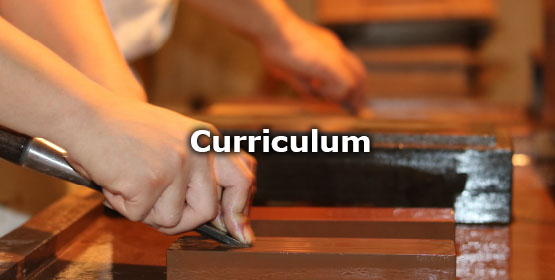 Curriculum